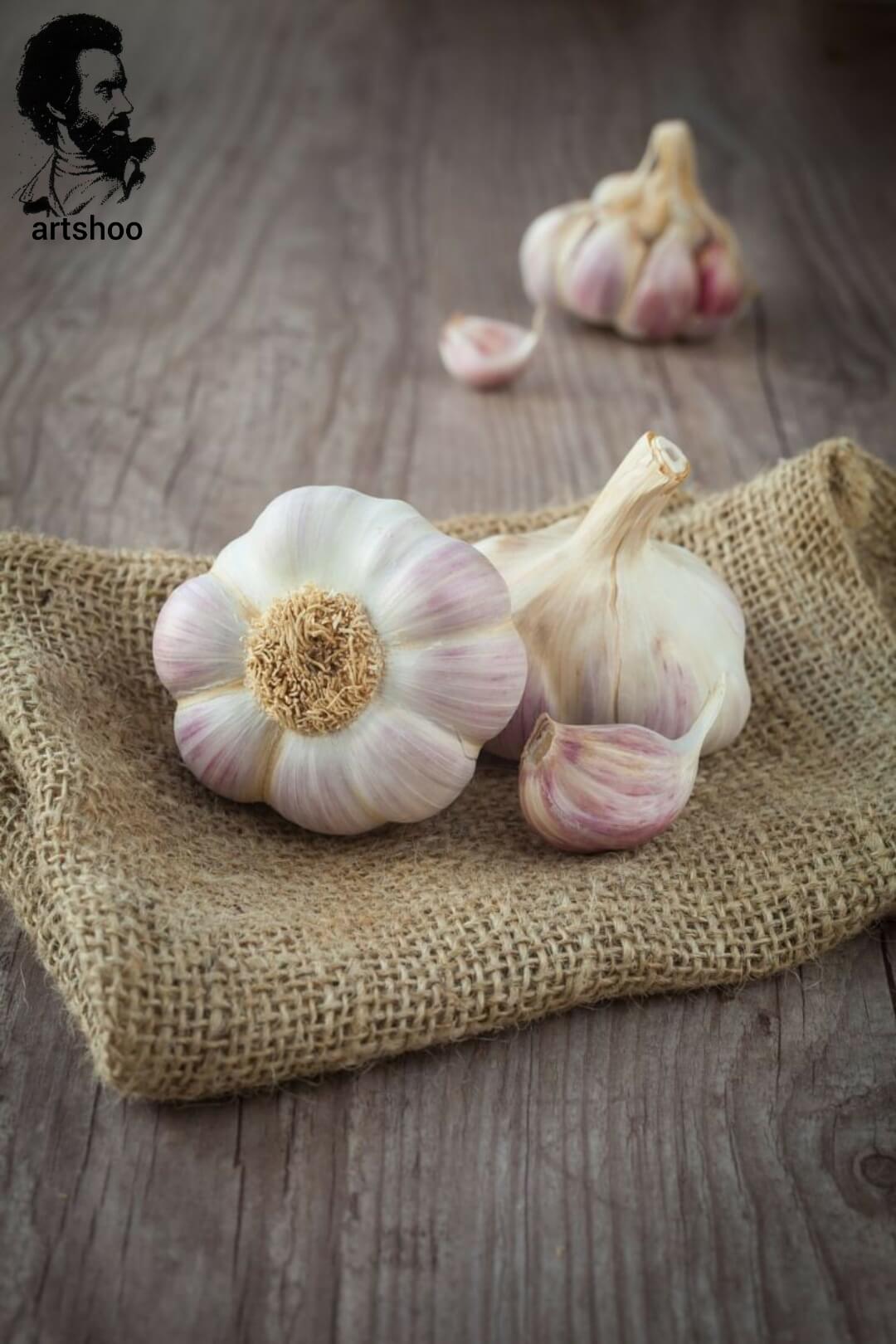 آموزش نقاشی رنگ روغن